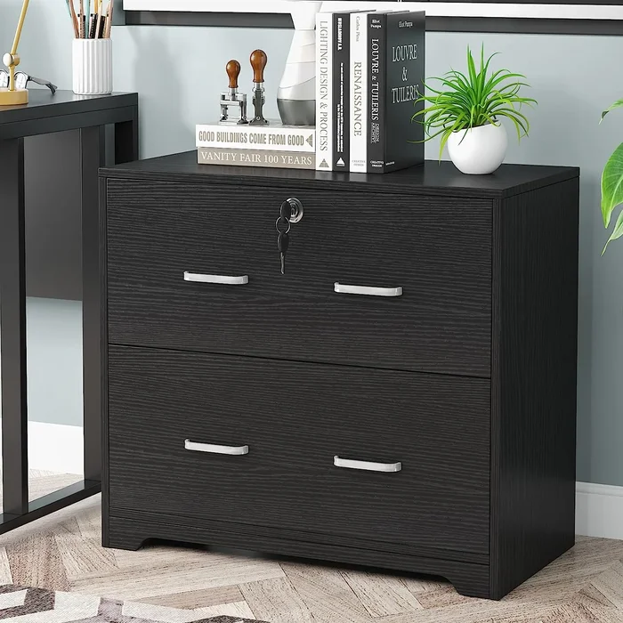 2-Drawer Lateral File Cabinet for Hanging Letter/Legal/F4/A4 Files
