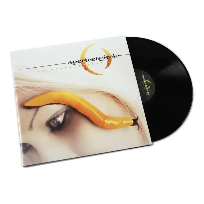A Perfect Circle: Thirteenth Step Vinyl 2LP