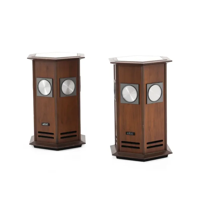 Akai Hexagonal Wood / Marble Speakers