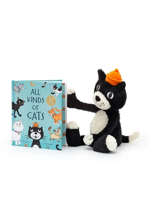 ALL KINDS OF CATS BOOK