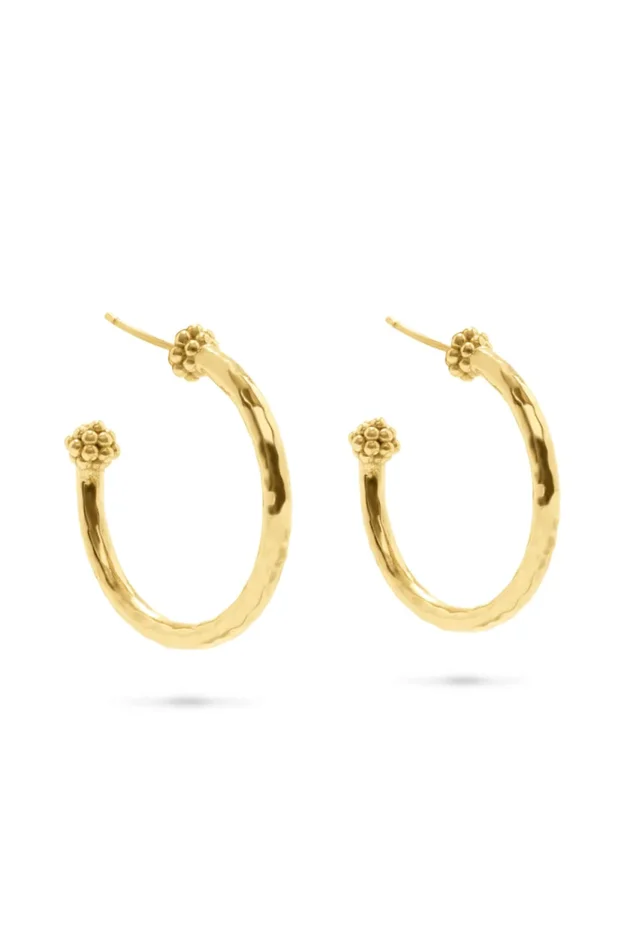 Berry Slice Medium Hoop Earrings – Gold