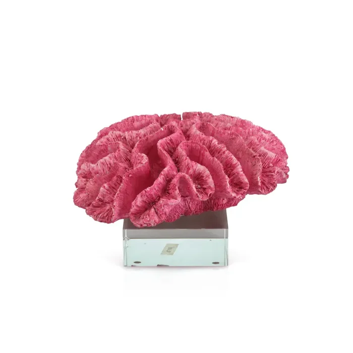 Hot Pink Coral w/ Acrylic Base (A+D)