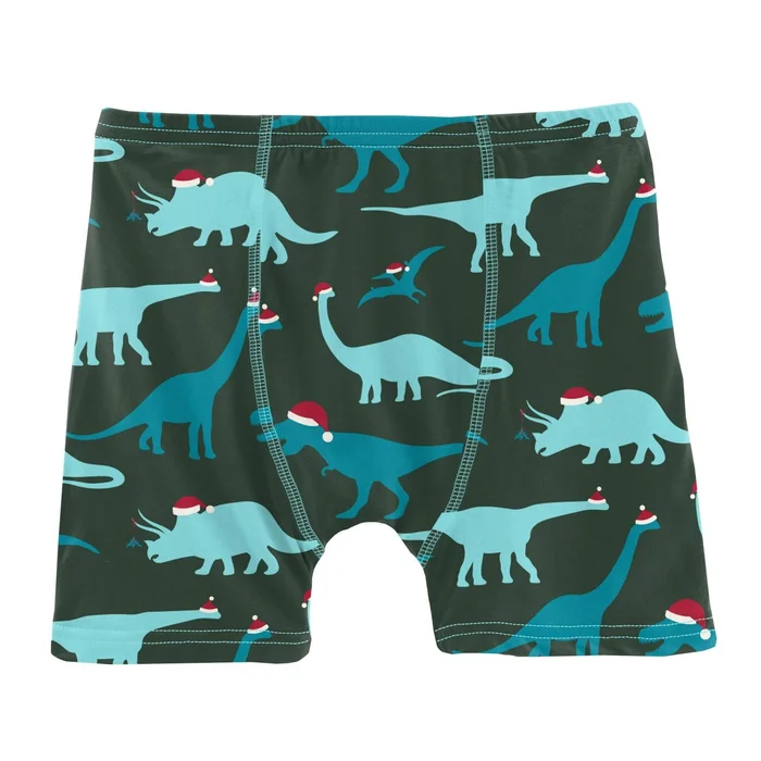 Last One – Size 2T/3T: Boxer Briefs – Santa Dinos