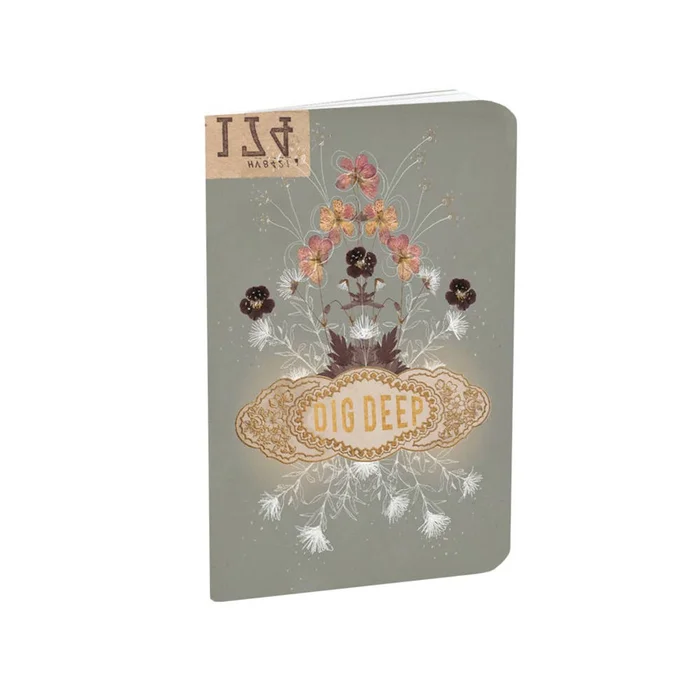 Mini Book – Dig Deep