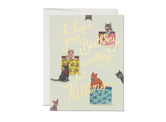 Nothing But Kittens Birthday Greeting Card