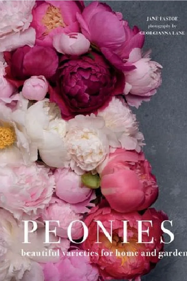Peonies