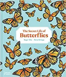 The Secret Life Of Butterflies