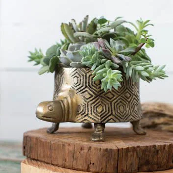 Tommie Turtle Pot