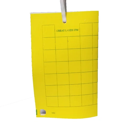 YELLOW TRAP, UV HM, 25/CS